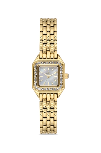 PLATİN PİERRE KADIN KOL SAATİ