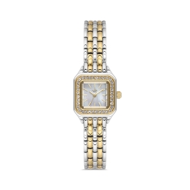 PLATİN PİERRE KADIN KOL SAATİ