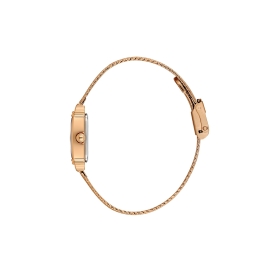 DANİEL KLEİN KADIN KOL SAATİ