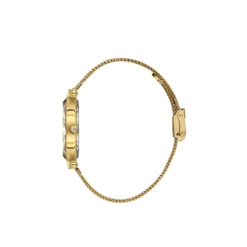 DANİEL KLEİN KADIN KOL SAATİ