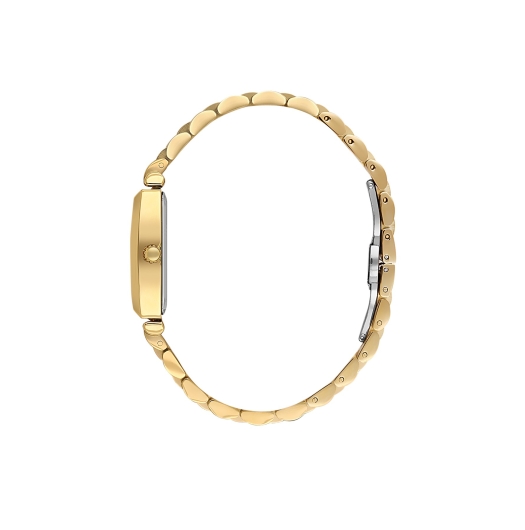 DANİEL KLEİN KADIN KOL SAATİ