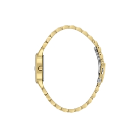 DANİEL KLEİN KADIN KOL SAATİ