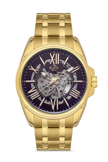 PLATİN PİERRE ERKEK KOL SAATİ