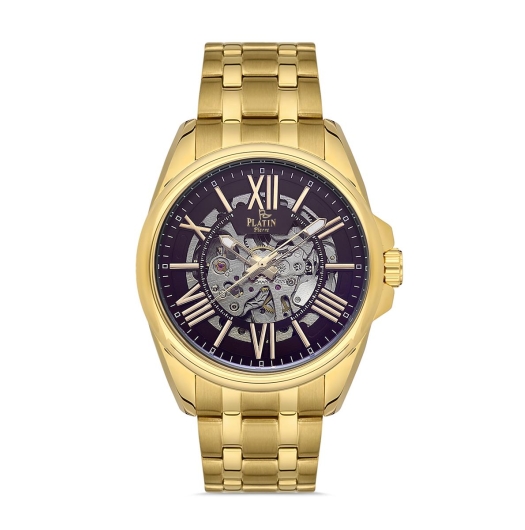 PLATİN PİERRE ERKEK KOL SAATİ