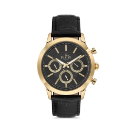 PLATİN PİERRE ERKEK KOL SAATİ