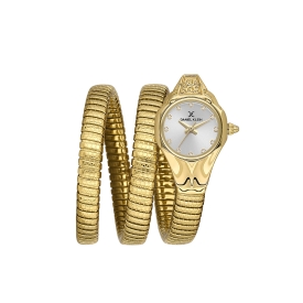 DANİEL KLEİN KADIN KOL SAATİ