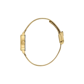 DANİEL KLEİN KADIN KOL SAATİ