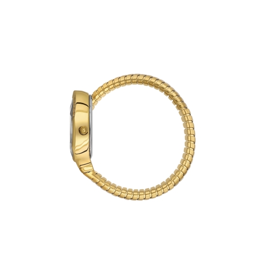 DANİEL KLEİN KADIN KOL SAATİ