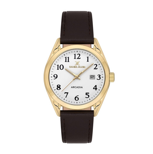 DANİEL KLEİN ERKEK KOL SAATİ