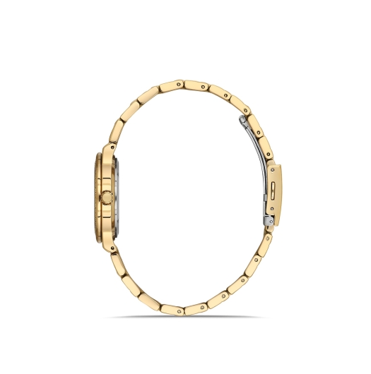 PLATİN PİERRE KADIN KOL SAATİ