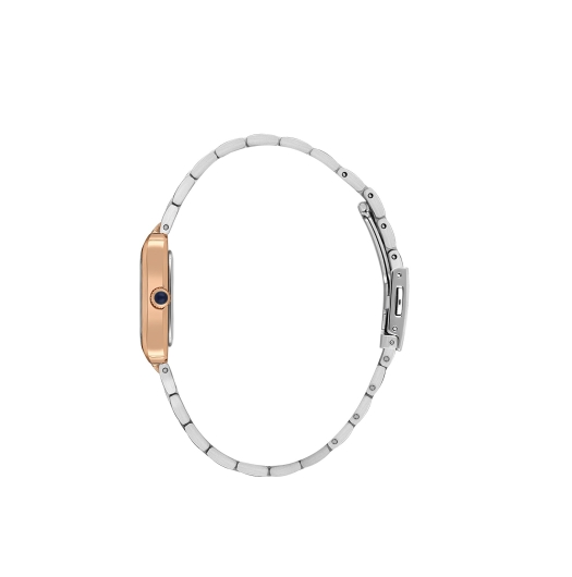 DANİEL KLEİN KADIN KOL SAATİ