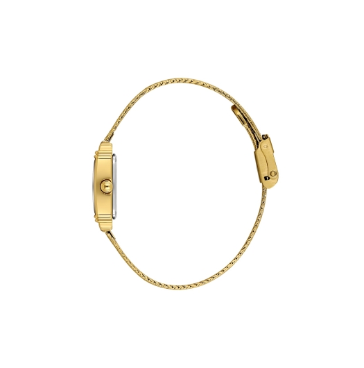 DANİEL KLEİN KADIN KOL SAATİ