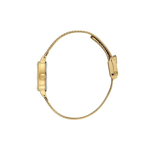 DANİEL KLEİN KADIN KOL SAATİ