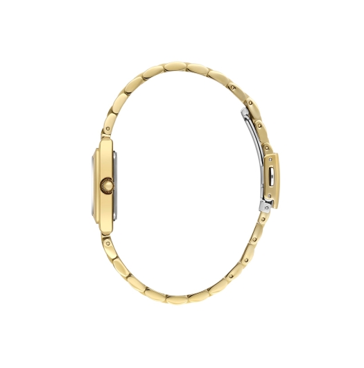 DANİEL KLEİN KADIN KOL SAATİ