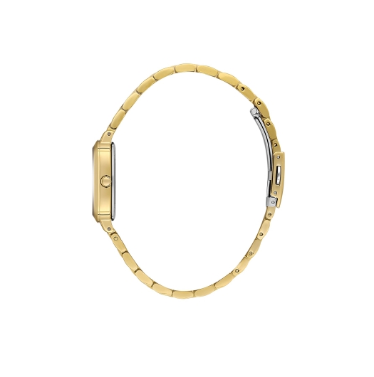 DANİEL KLEİN KADIN KOL SAATİ