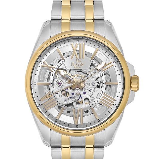 PLATİN PİERRE ERKEK KOL SAATİ