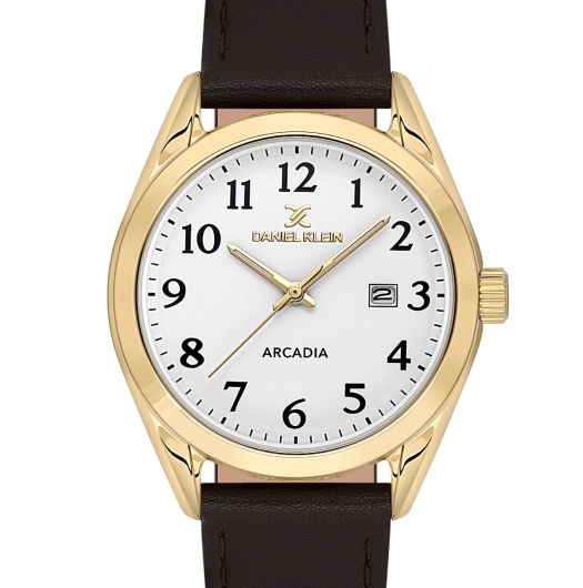 DANİEL KLEİN ERKEK KOL SAATİ