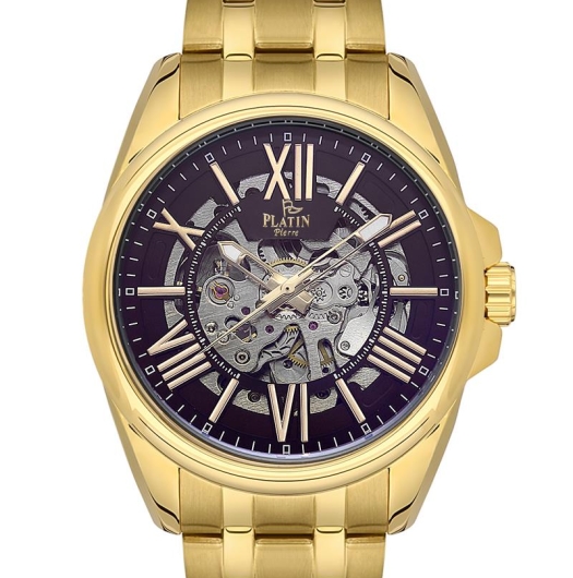 PLATİN PİERRE ERKEK KOL SAATİ