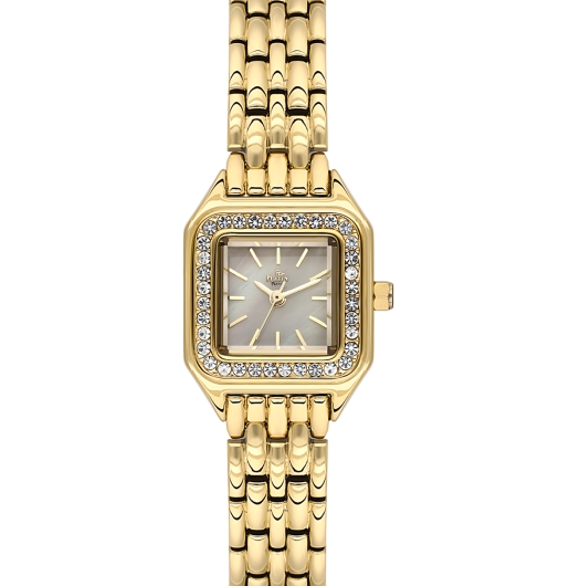 PLATİN PİERRE KADIN KOL SAATİ