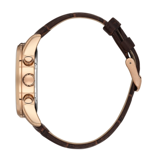 DANİEL KLEİN ERKEK KOL SAATİ