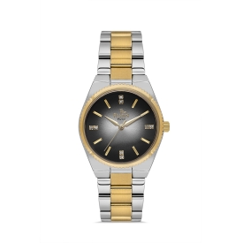 PLATİN PİERRE KADIN KOL SAATİ