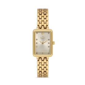 PLATİN PİERRE KADIN KOL SAATİ