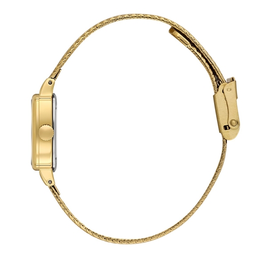 DANİEL KLEİN KADIN KOL SAATİ