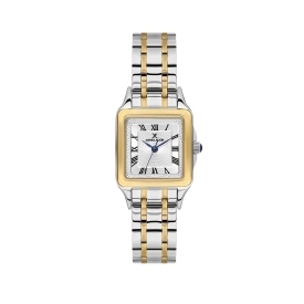 DANİEL KLEİN KADIN KOL SAATİ