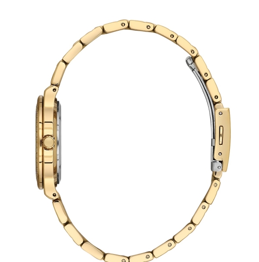 PLATİN PİERRE KADIN KOL SAATİ