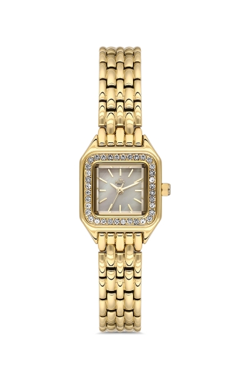 PLATİN PİERRE KADIN KOL SAATİ