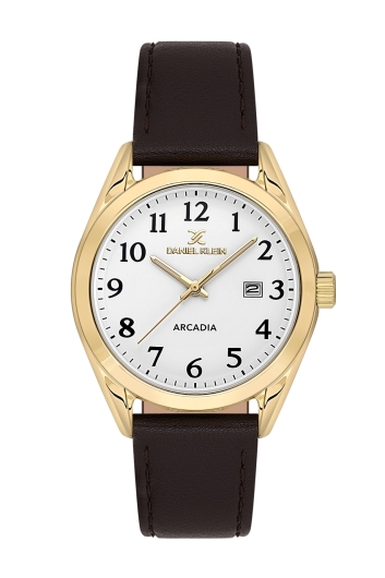DANİEL KLEİN ERKEK KOL SAATİ