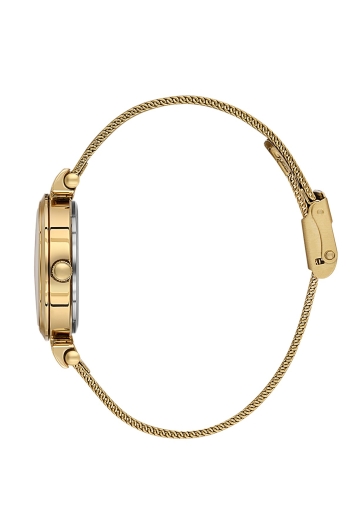 DANİEL KLEİN KADIN KOL SAATİ