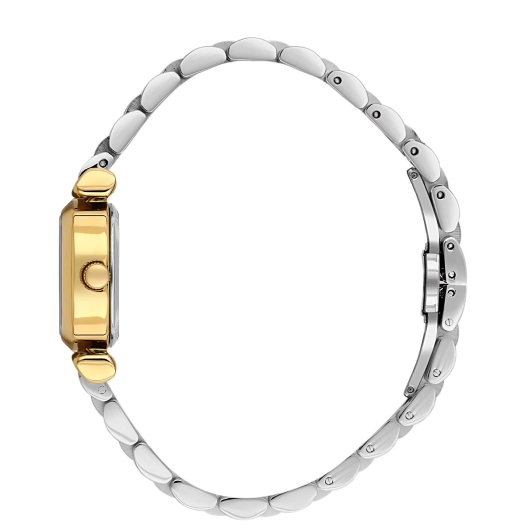 DANİEL KLEİN KADIN KOL SAATİ