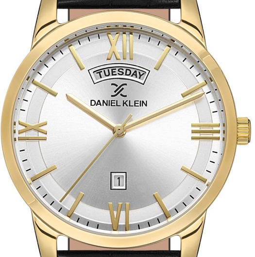 DANİEL KLEİN ERKEK KOL SAATİ