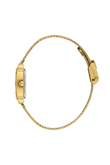 DANİEL KLEİN KADIN KOL SAATİ