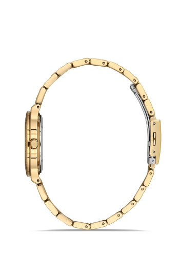 PLATİN PİERRE KADIN KOL SAATİ