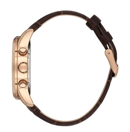 DANİEL KLEİN ERKEK KOL SAATİ