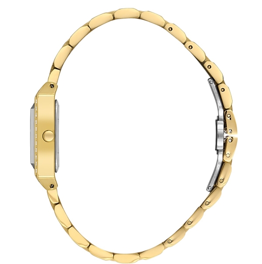 DANİEL KLEİN KADIN KOL SAATİ