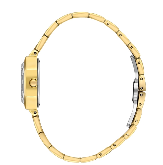 DANİEL KLEİN KADIN KOL SAATİ