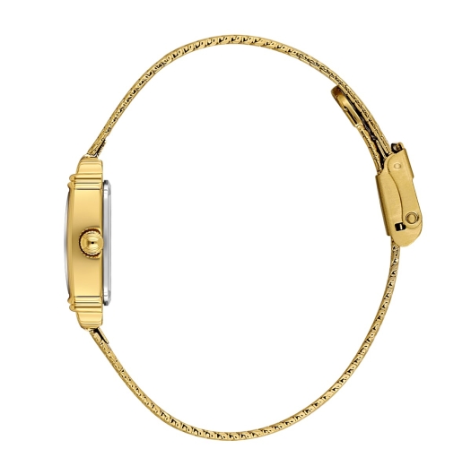 DANİEL KLEİN KADIN KOL SAATİ